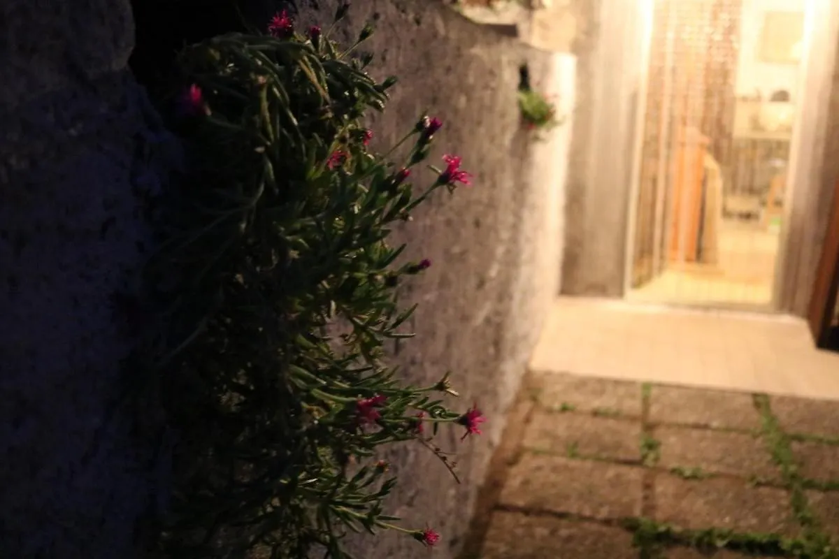 Bellano Cottage - With Private Garden And Garage