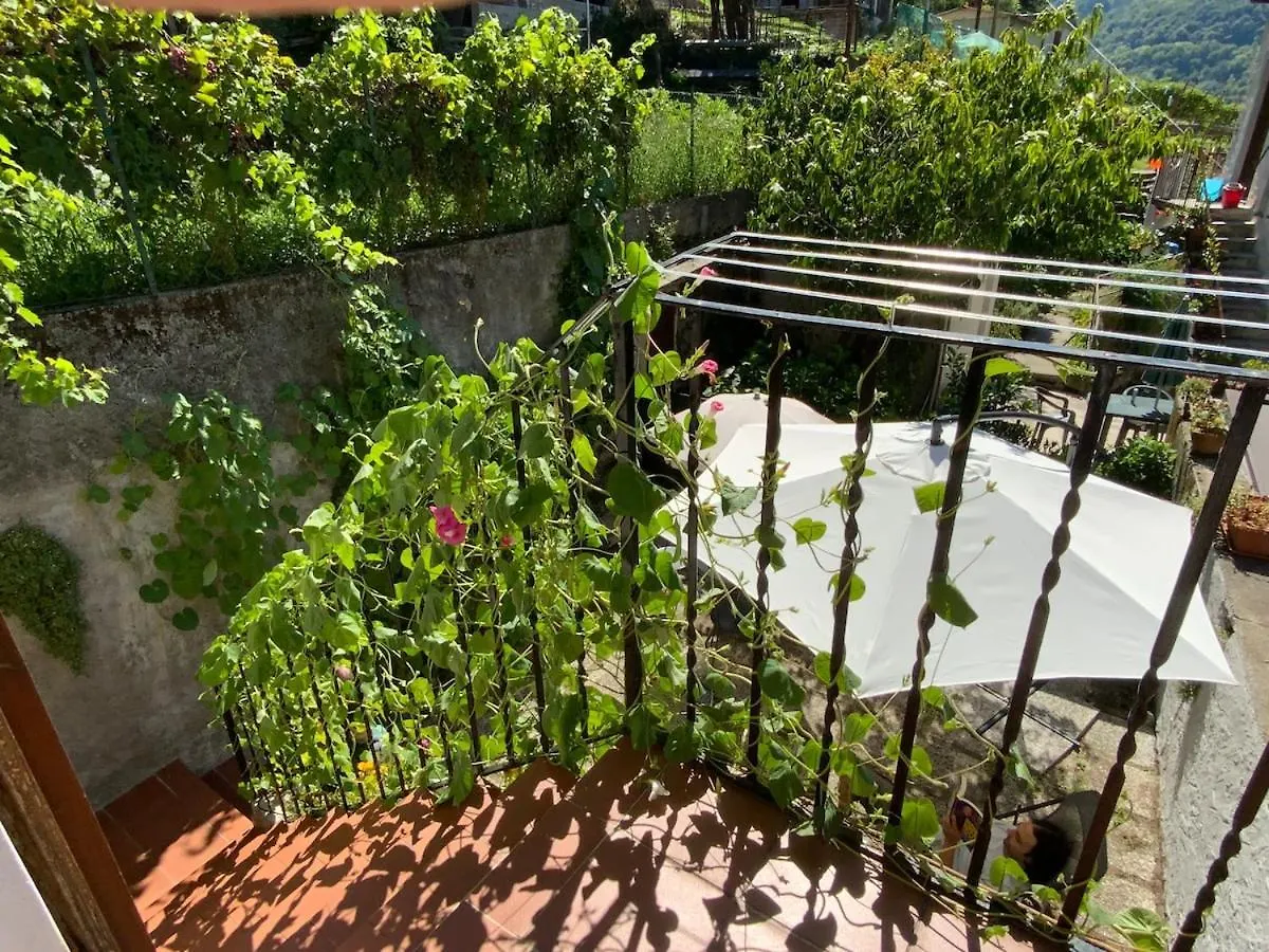 Bellano Cottage - With Private Garden And Garage Италия